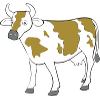 vache2.png